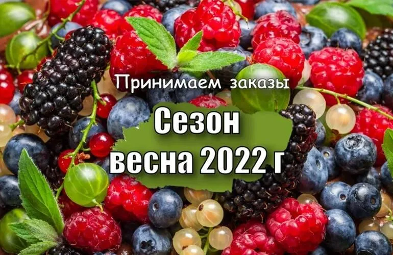 Раннее бронирование ВЕСНА 2022 Раннее бронирование ВЕСНА 2022