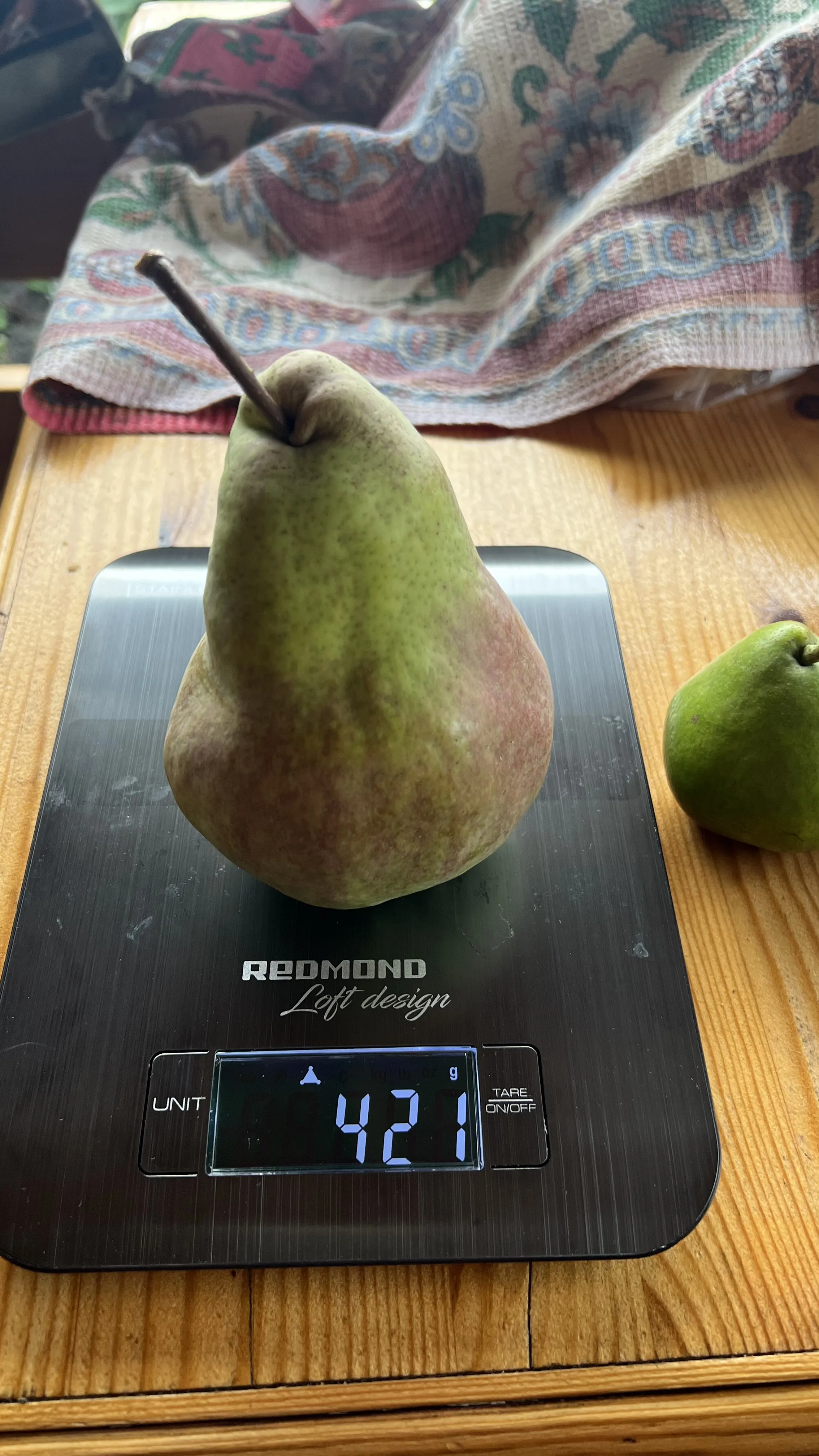 Александр  Александр