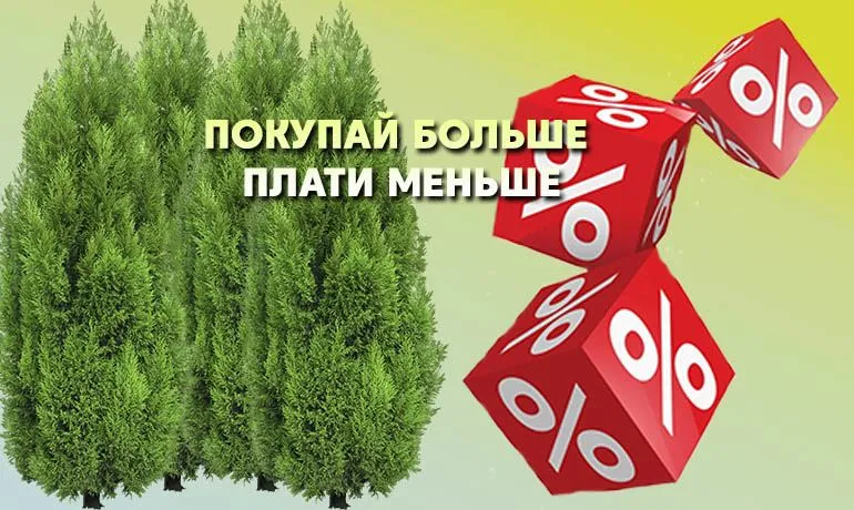 Покупай больше-плати меньше Покупай больше-плати меньше