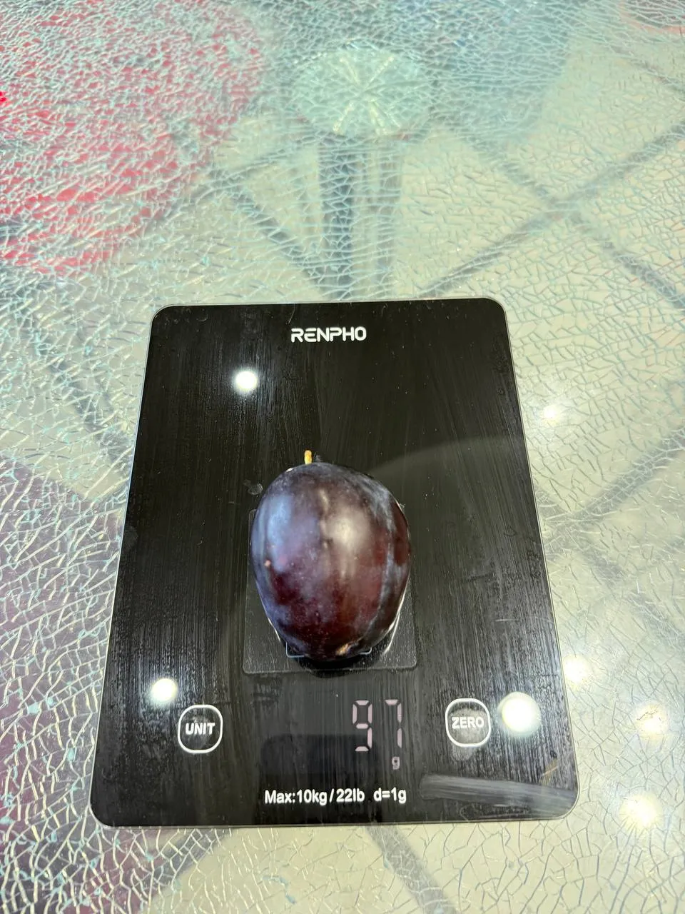 Марина Марина