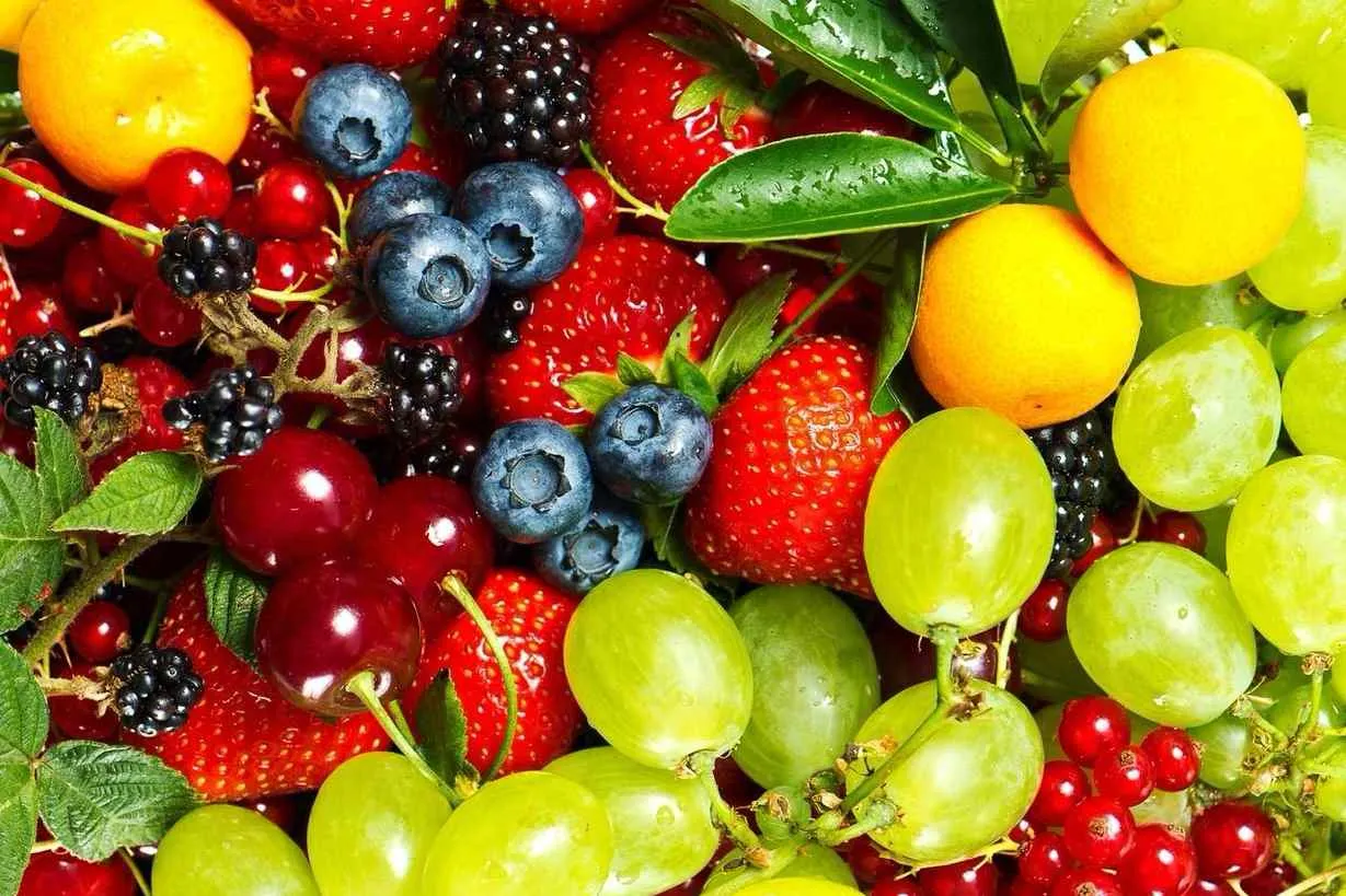 Продолжается прием заказов сезон ОСЕНЬ 2022 Продолжается прием заказов сезон ОСЕНЬ 2022