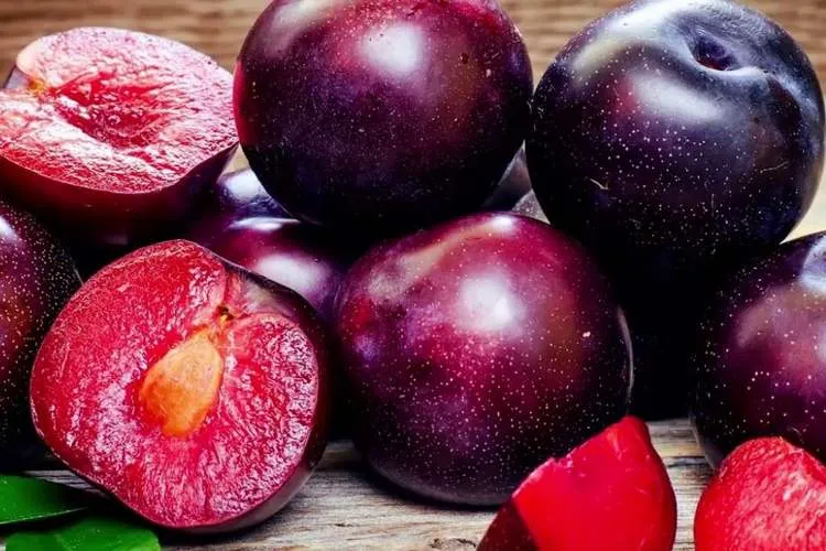 Новинки саженцев: априумы, плумкоты, плуот и шарафуги Новинки саженцев: априумы, плумкоты, плуот и шарафуги