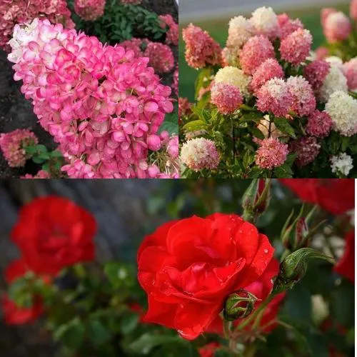 Комплект РОЗОВЫЙ ЗАКАТ  Комплект РОЗОВЫЙ ЗАКАТ в Москве