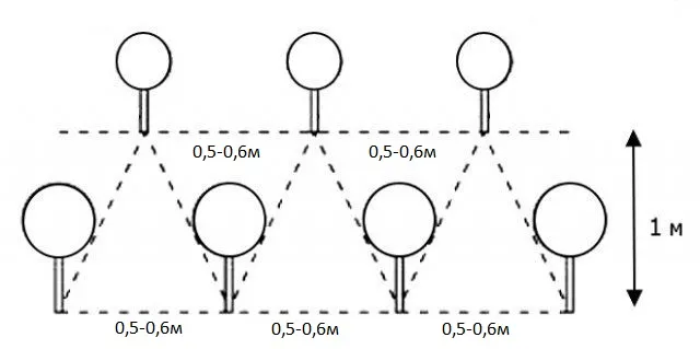схема2.jpg схема2.jpg