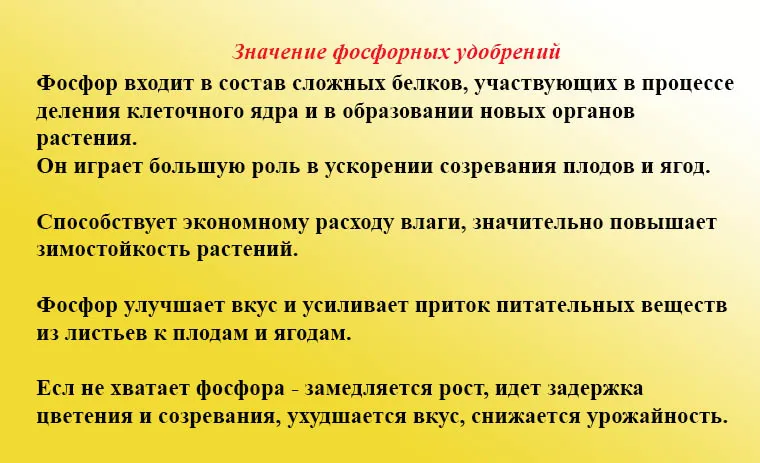 фосфорные удобрения.jpg фосфорные удобрения.jpg