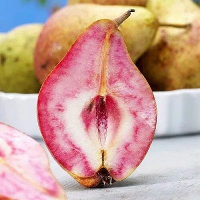 Груша БЛЮТБЕРН  Груша БЛЮТБЕРН в Москве