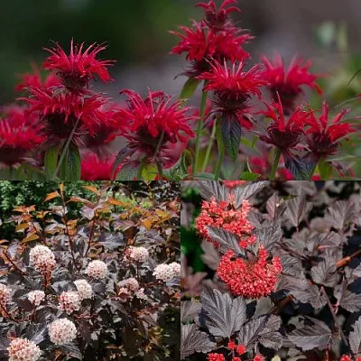 Комплект ОГНЕННЫЙ МИКС в Москве