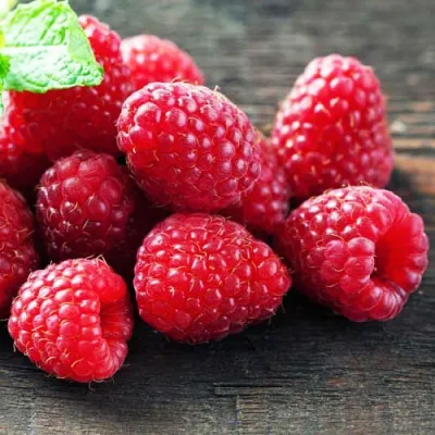 Малина ЭРИКА — описание сорта Малина ЭРИКА в Москве