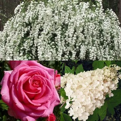 Комплект ВЕЧНАЯ КЛАССИКА в Москве