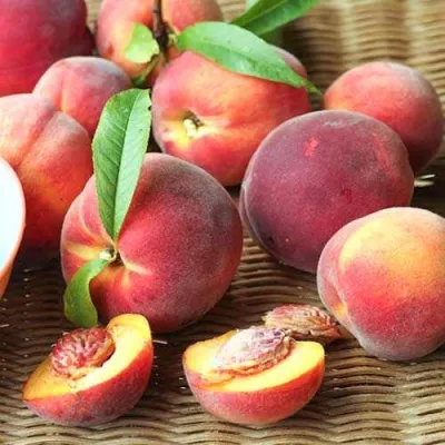 Персик РОЯЛ ВИ — описание сорта Персик РОЯЛ ВИ в Москве