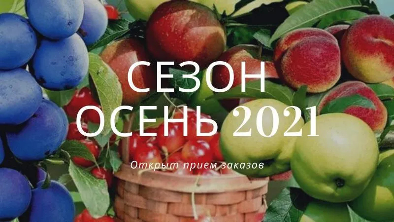 Открыт прием заказов на осень 2021 Открыт прием заказов на осень 2021